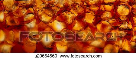 Stock Image - Ice drink. Fotosearch