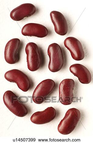 Kidney beans on white View Large Photo Image Stock Photo - Kidney beans on white. Fotosearch