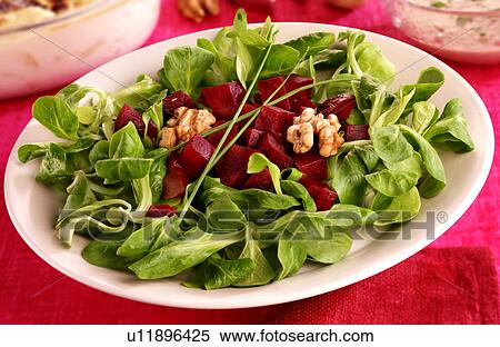 Stock Photography - Lambs Lettuce And Beetroot Salad - Non Exclusive. Fotosearch