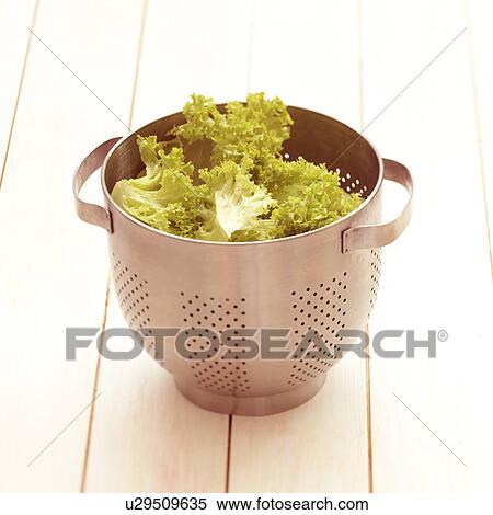 Lettuce, metal colander View Large Photo Image Stock Photography - Lettuce, metal colander. Fotosearch
