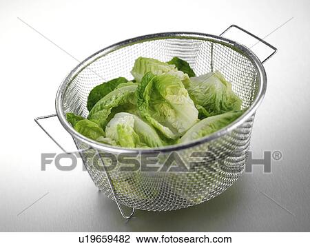 Stock Image - Lettuce. Fotosearch