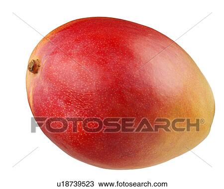 Stock Image - Mango. Fotosearch