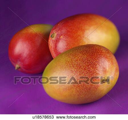 Stock Image - Mangoes. Fotosearch