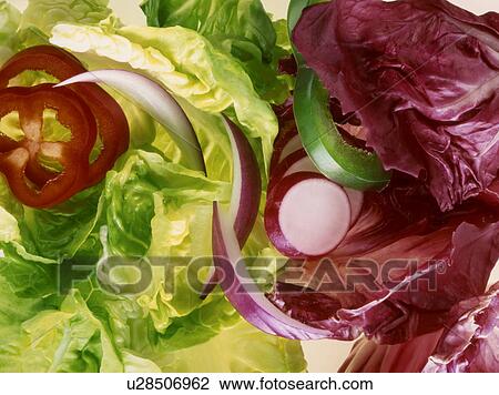 Stock Image - Mixed salad. Fotosearch