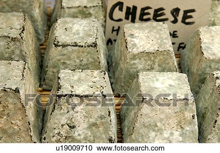 mould ripened goat cheese View Large Photo Image Stock Image - mould ripened goat cheese. Fotosearch