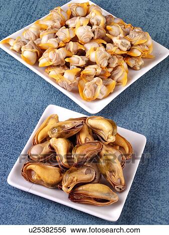 Stock Photograph - Mussels And Cockles - Non Exclusive. Fotosearch