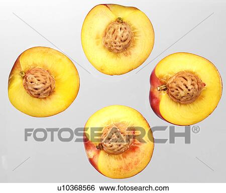 Nectarine Halves View Large Photo Image Stock Photograph - Nectarine Halves. Fotosearch