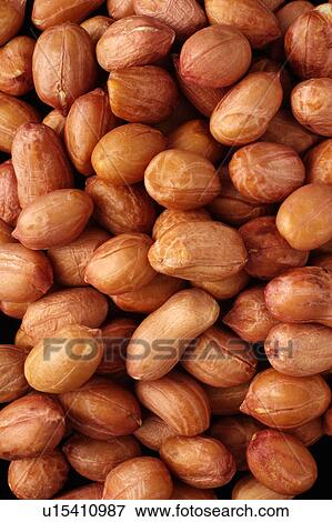 Peanuts, natural, whole View Large Photo Image Stock Photo - Peanuts, natural, whole. Fotosearch