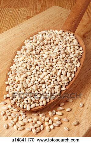 Pearl Barley View Large Photo Image Stock Image - Pearl Barley. Fotosearch