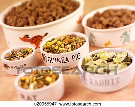Stock Photo - Pet Foods - Non Exclusive. Fotosearch