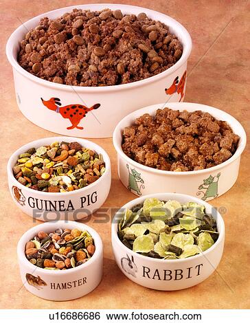 Stock Photograph - Pet Foods - Non Exclusive. Fotosearch