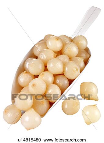 Stock Image - Pickled Onions on White - Non Exclusive. Fotosearch