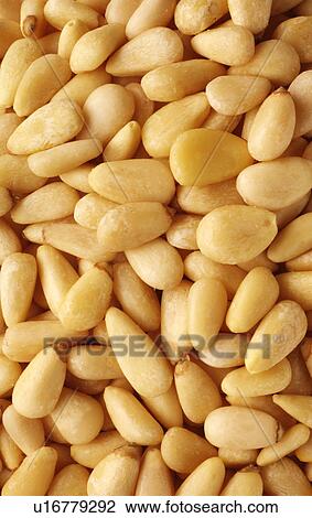 Stock Image - Pine kernels. Fotosearch
