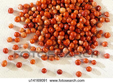 Stock Image - Pink Peppercorns - Non Exclusive. Fotosearch
