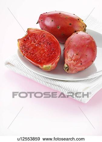 Prickly Pear / Cactus Pear View Large Photo Image Stock Photo - Prickly Pear / Cactus Pear. Fotosearch