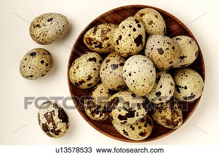 Quails eggs View Large Photo Image Stock Image - Quails eggs. Fotosearch