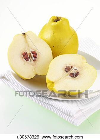 Stock Photograph - Quince. Fotosearch