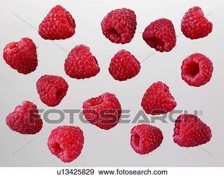 Stock Photo - Raspberries - Non Exclusive. Fotosearch
