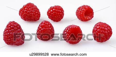 Raspberries - Non Exclusive View Large Photo Image Stock Photo - Raspberries - Non Exclusive. Fotosearch