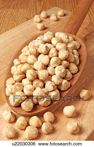 Roasted Hazelnuts View Large Photo Image Stock Photograph - Roasted Hazelnuts. Fotosearch