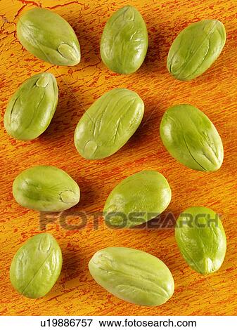 Stock Photo - Sato Beans. Fotosearch