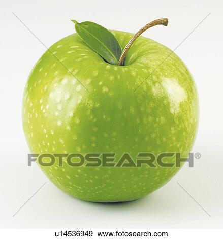 Single Green Apple - Non Exclusive View Large Photo Image Stock Photo - Single Green Apple - Non Exclusive. Fotosearch