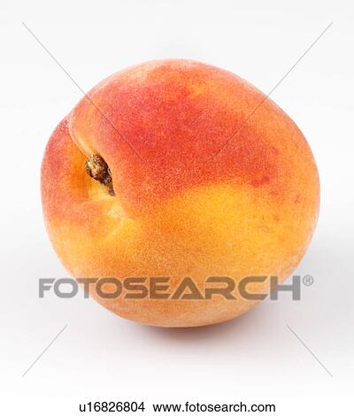 Single Peach - Non Exclusive View Large Photo Image Picture - Single Peach - Non Exclusive. Fotosearch