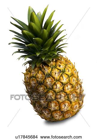 Picture - Single pineapple on white. Fotosearch