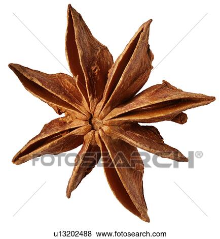 Stock Photo - Single Star Anise on White - Non Exclusive. Fotosearch