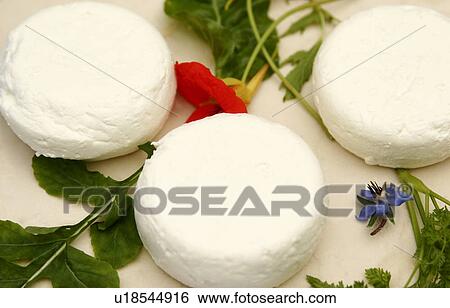 Stock Photograph - Soft Goat Cheese. Fotosearch