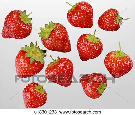 Strawberries - Non Exclusive View Large Photo Image Stock Image - Strawberries - Non Exclusive. Fotosearch