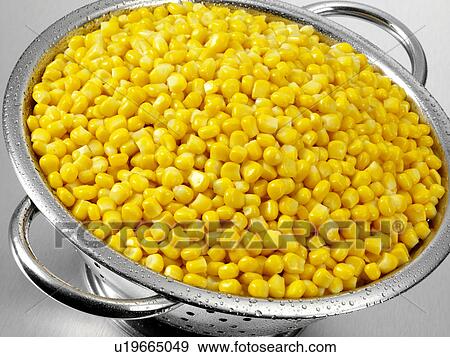 Stock Photo - Sweetcorn In Colander. Fotosearch
