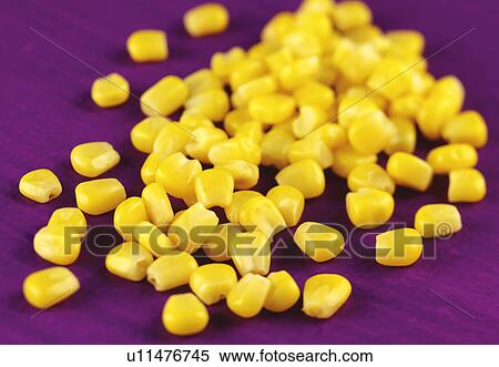 Stock Photography - Sweetcorn Kernels - Non Exclusive. Fotosearch