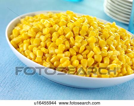 Sweetcorn View Large Photo Image Picture - Sweetcorn. Fotosearch