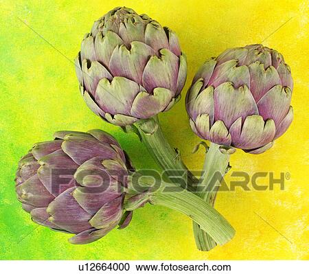 Stock Image - Three Artichokes - Non Exclusive. Fotosearch
