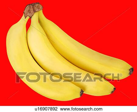 Three bananas - Non Exclusive View Large Photo Image Stock Image - Three bananas - Non Exclusive. Fotosearch