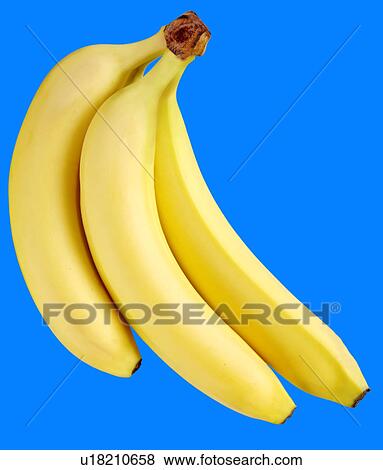 Three Bananas on Blue - Non Exclusive View Large Photo Image Stock Photo - Three Bananas on Blue - Non Exclusive. Fotosearch