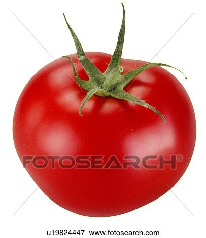 Stock Photo - Tomato - Non Exclusive. Fotosearch
