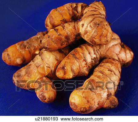 Stock Image - Turmeric Roots - Non Exclusive. Fotosearch