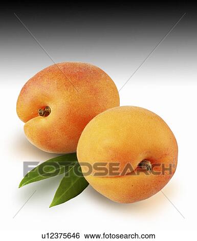 Stock Photograph - Two apricots on graduated. Fotosearch