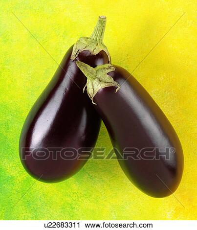Two Aubergines - Non Exclusive View Large Photo Image Stock Image - Two Aubergines - Non Exclusive. Fotosearch