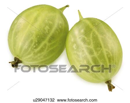 Stock Image - Two Gooseberries - Non Exclusive. Fotosearch
