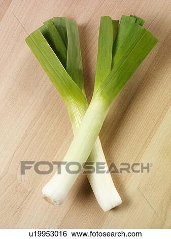 Two Leeks - Non Exclusive View Large Photo Image Stock Photograph - Two Leeks - Non Exclusive. Fotosearch