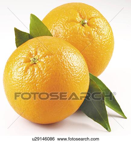 Stock Photograph - Two Oranges - Non Exclusive. Fotosearch