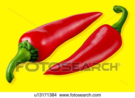 Two red chillies on yellow View Large Photo Image Picture - Two red chillies on yellow. Fotosearch