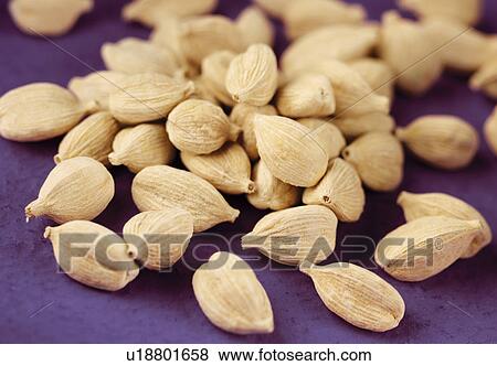 Stock Photo - White Cardamom Pods - Non Exclusive. Fotosearch