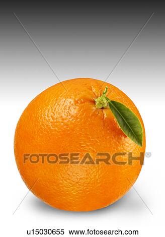 Stock Photography - Whole orange. Fotosearch