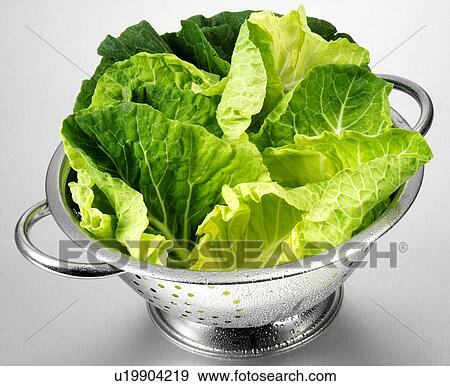 Winter Greens In Colander View Large Photo Image Stock Photo - Winter Greens In Colander. Fotosearch