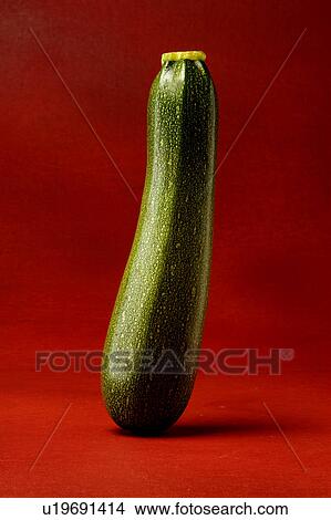 Picture - A courgette, zucchini. Fotosearch