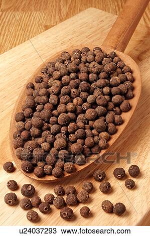 Stock Image - Allspice. Fotosearch